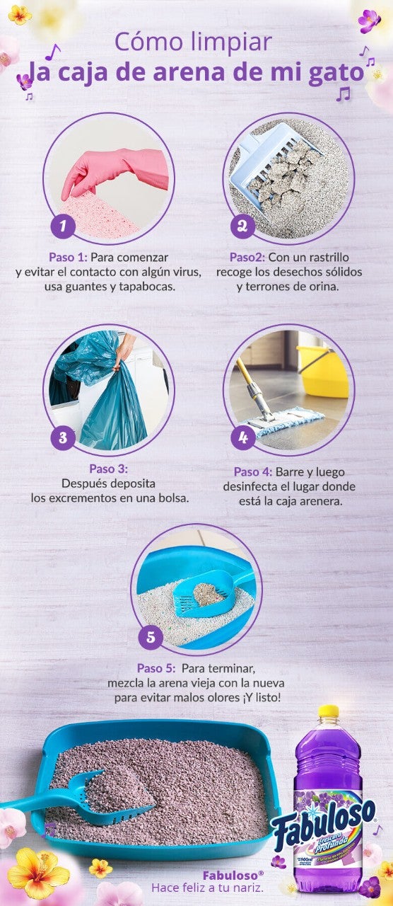 como limpiar la caja de arena de mi gato