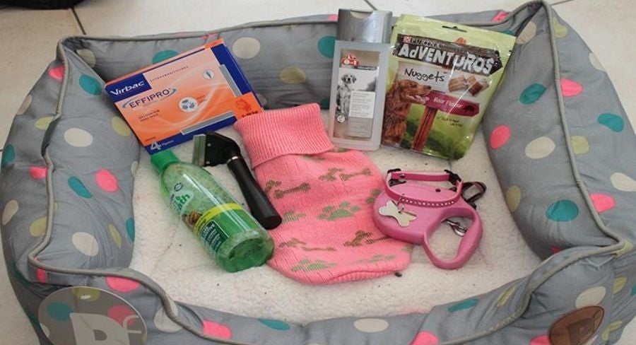 Cama perro con implementos