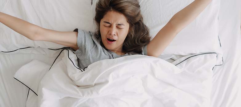 Como eliminar chinches de la cama mx