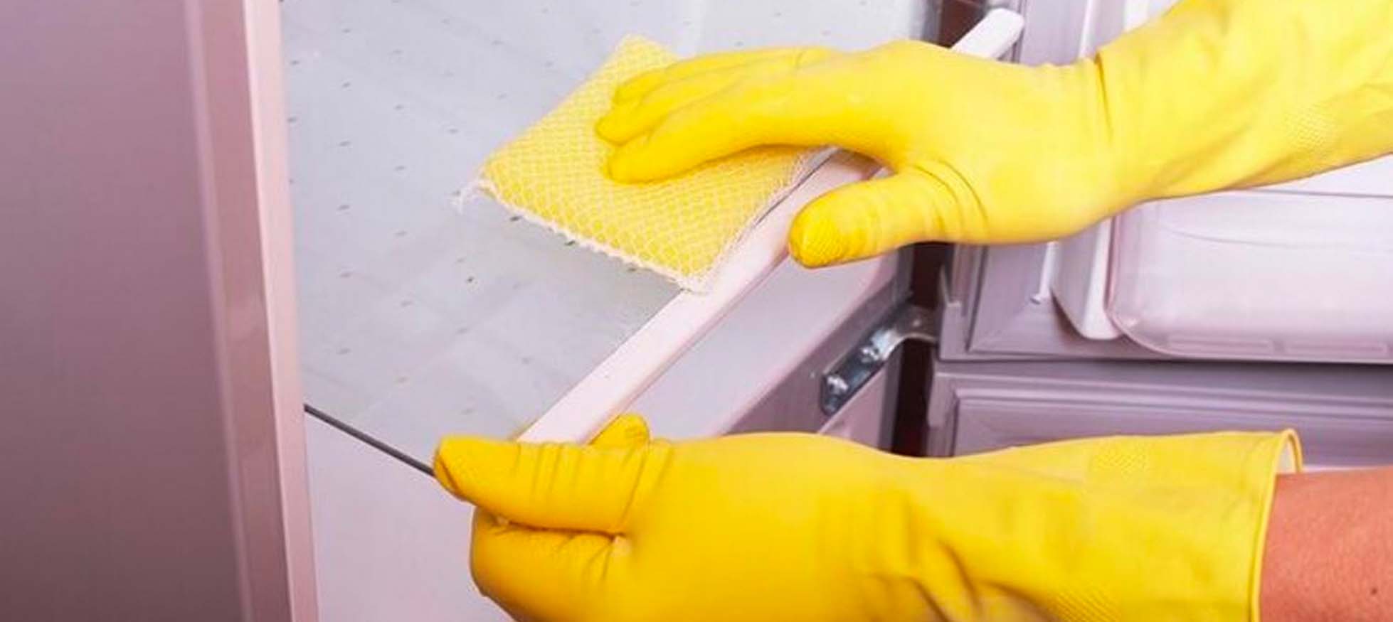 Retira las bandejas de vidrio