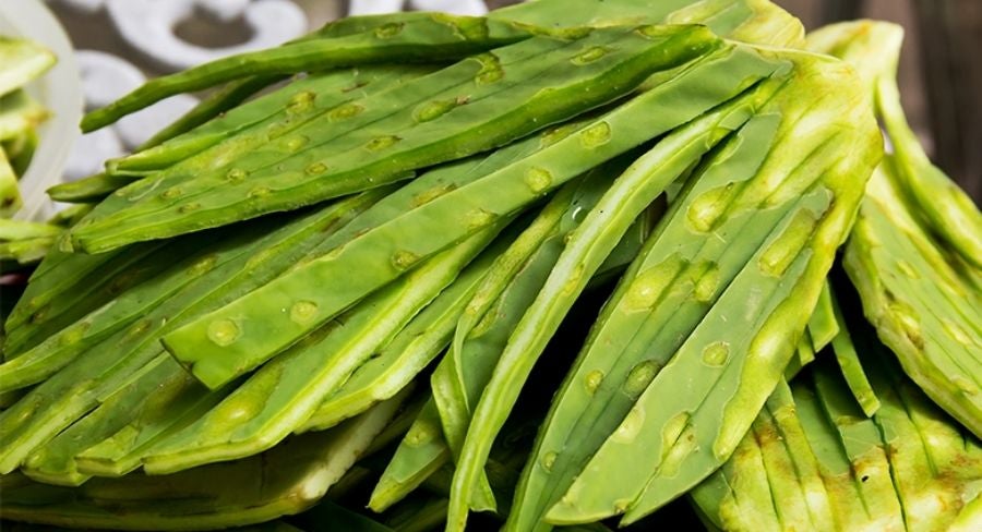 Receta de nopales
