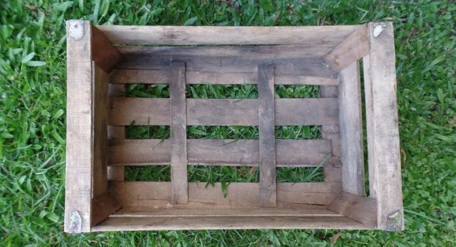 Proceso para hacer una composta casera 1