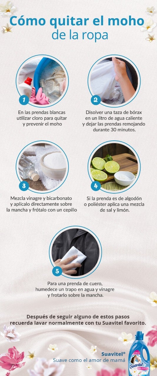 infografía cómo quitar el moho de la ropa
