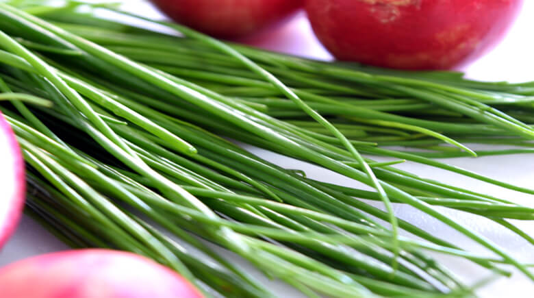 cebollin rabanos completos