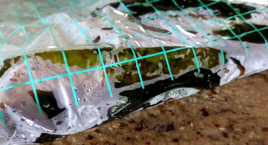 bolsa de plástico sellada