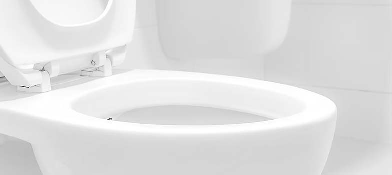 Cómo destapar un inodoro 