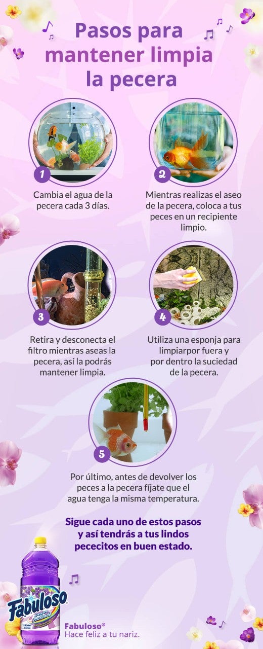 Pasos para mantener limpia la pecera