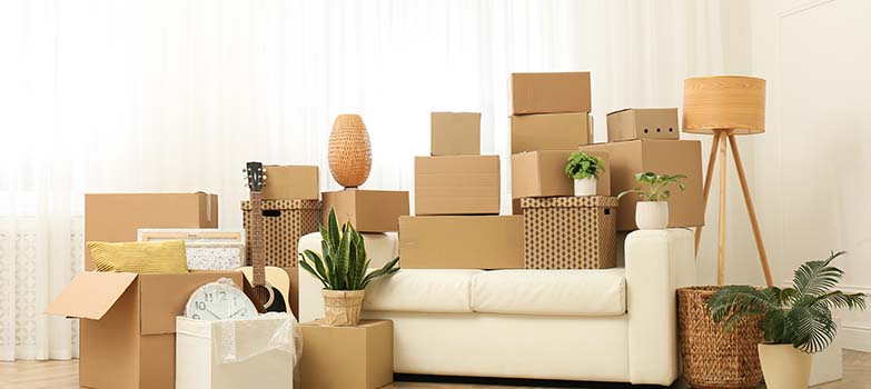 Alternativas Ecológicas para el Hogar