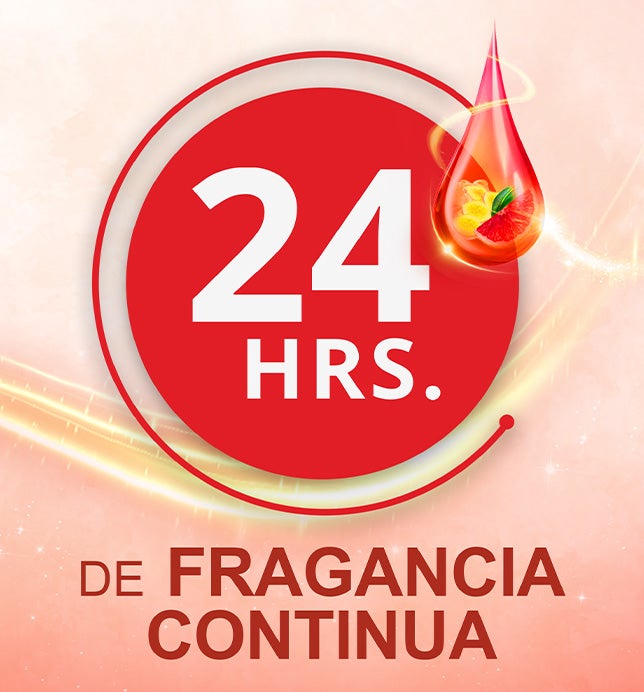Ilustración textual de 24 horas con fragancia continua