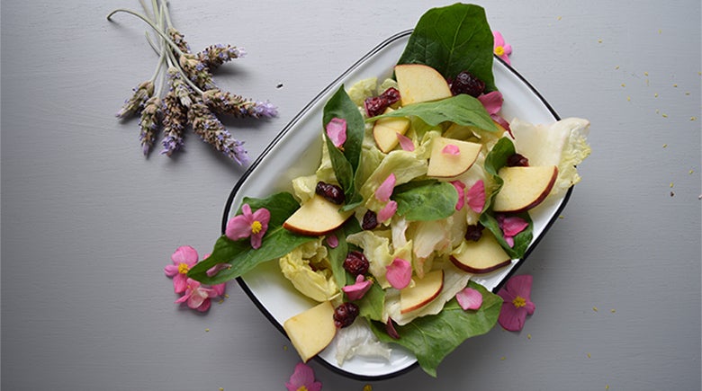 Flores comestibles: Agrega pétalos de flores a tus ensaladas