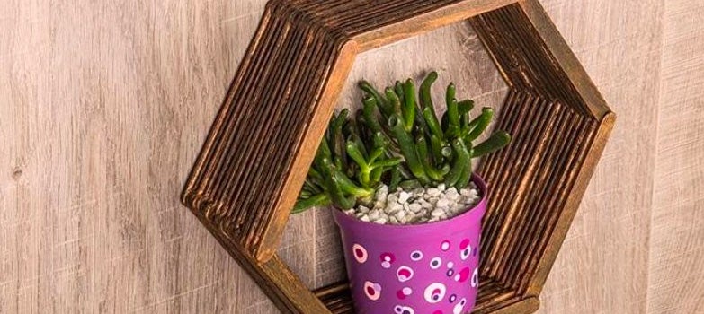 Repisa con palitos de paleta