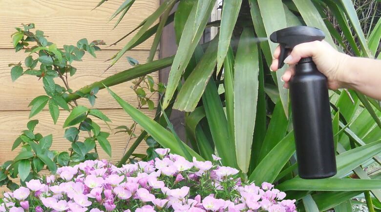 Insecticida casero para proteger tus plantas