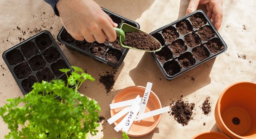 manos repartiendo tierra cuando van a plantar