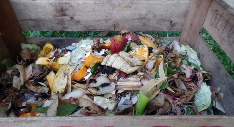 Proceso para hacer una composta casera 4