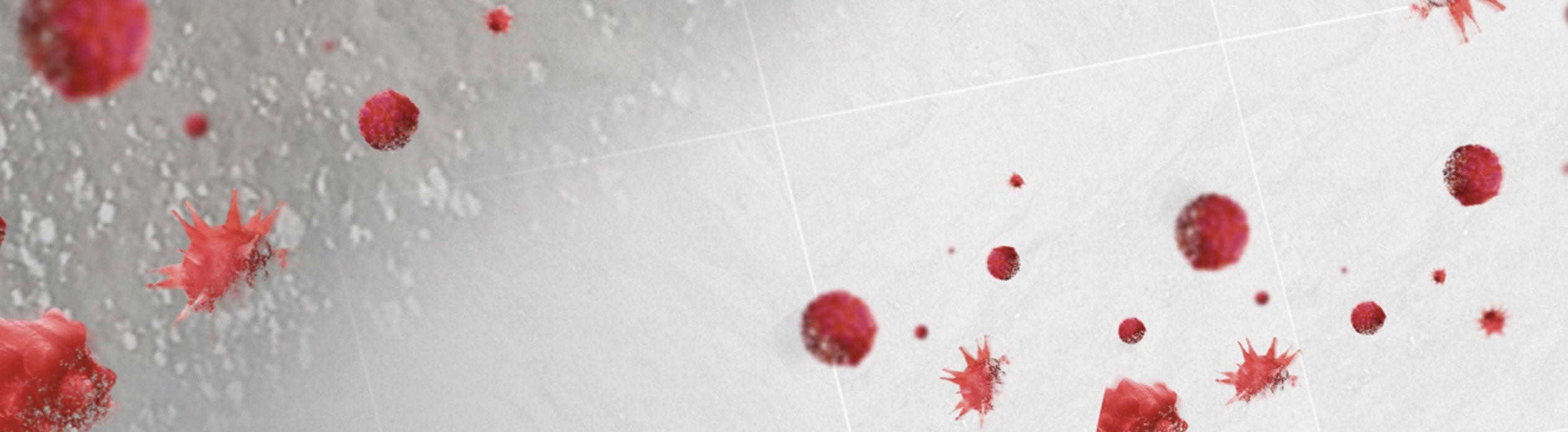 Ajax® Desinfectante | Presentaciones