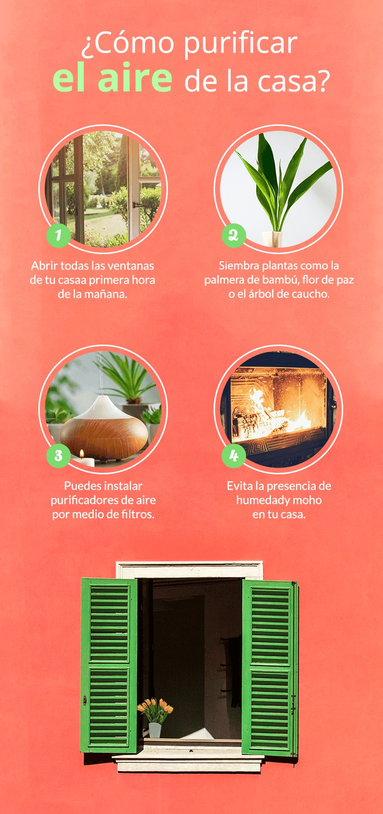 Cómo purificar el aire de la casa