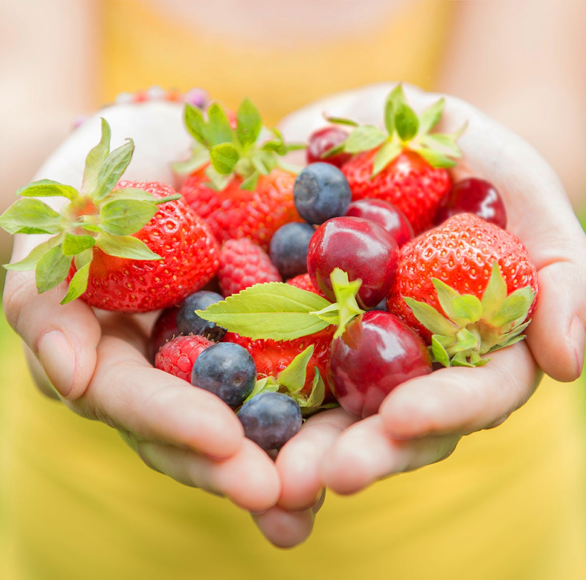 Su fragancia concentrada le dará un aroma irresistible a tus espacios y mantendrá un entorno libre de olores desagradables