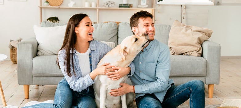 Pareja sonriente en la sala de su casa con su perro
