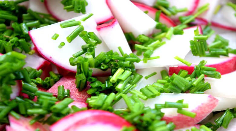 cebollin picado con especies