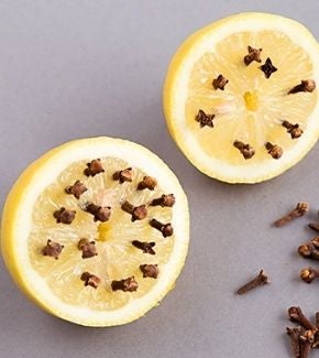 dos-limones-partidos-por-la-mitad-con-clavos-de-olor-como-repelente-natural-contra-moscas-y-mosquitos-Axion-thumbnail