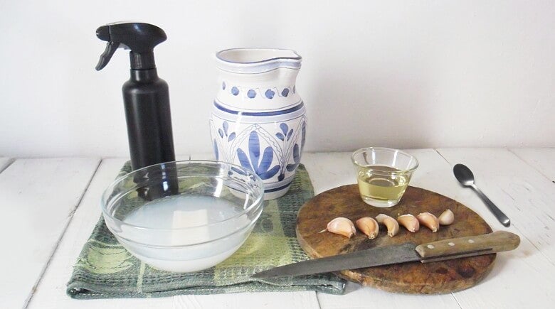 Insecticida casero: Ingredientes