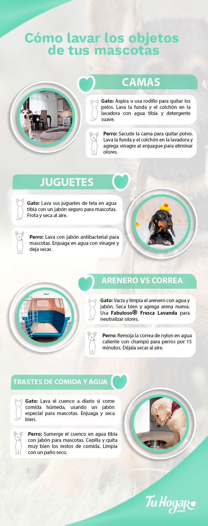 Infografía sobre cómo lavar los objetos de mis gatos y perros
