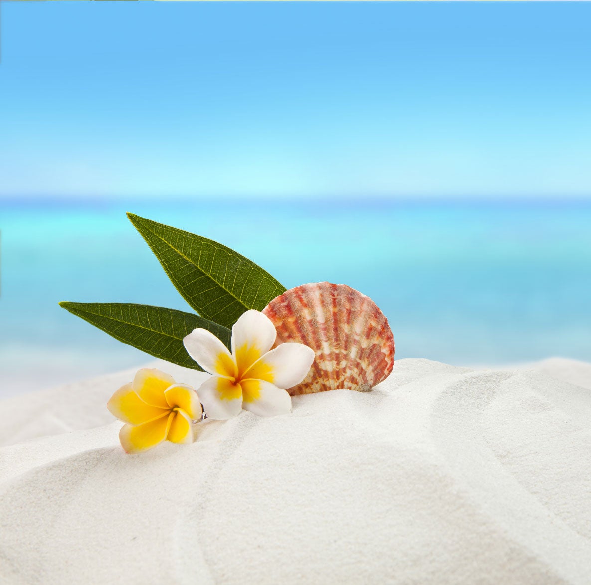 Con partículas activas y fragancia concentrada. Más aroma y limpieza efectiva.