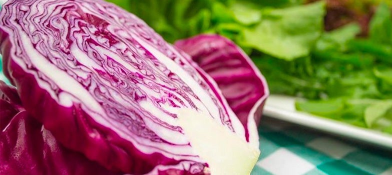 Tecnicas caseras para mantener frescas las ensaladas