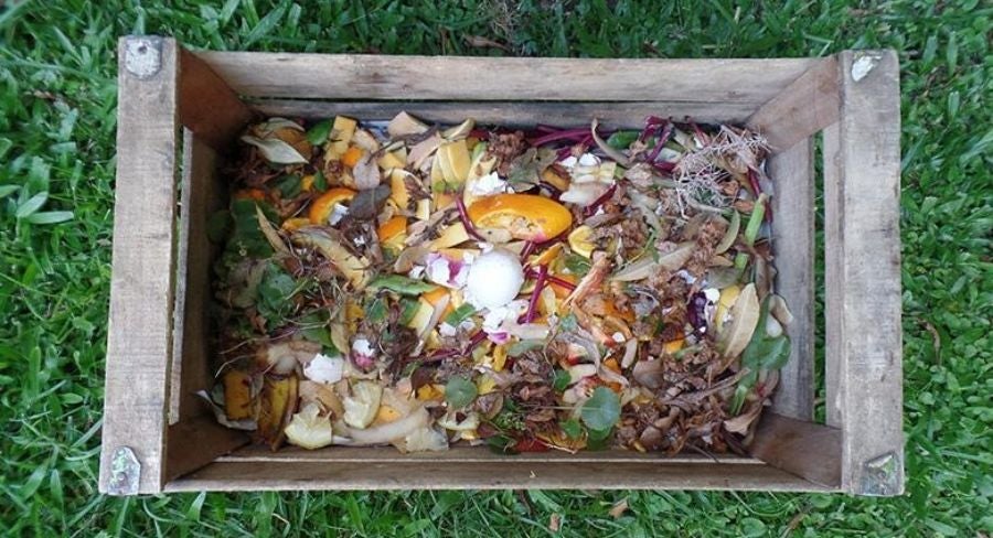 Proceso para hacer una composta casera 2