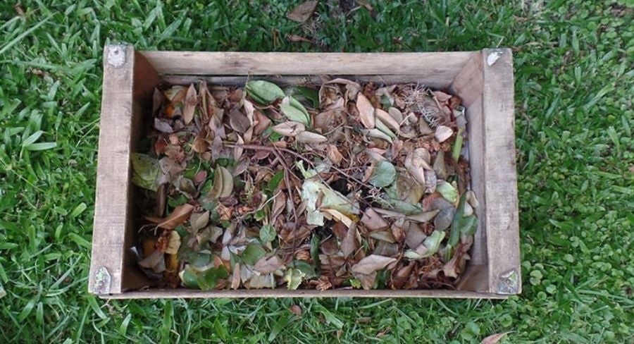 Proceso para hacer una composta casera 5