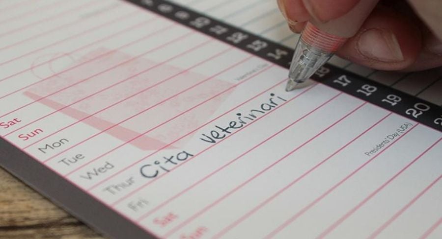 Escribiendo en una agenda