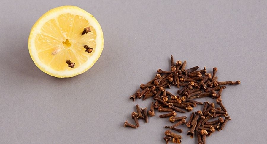 ingredientes para alejar moscas y mosquitos